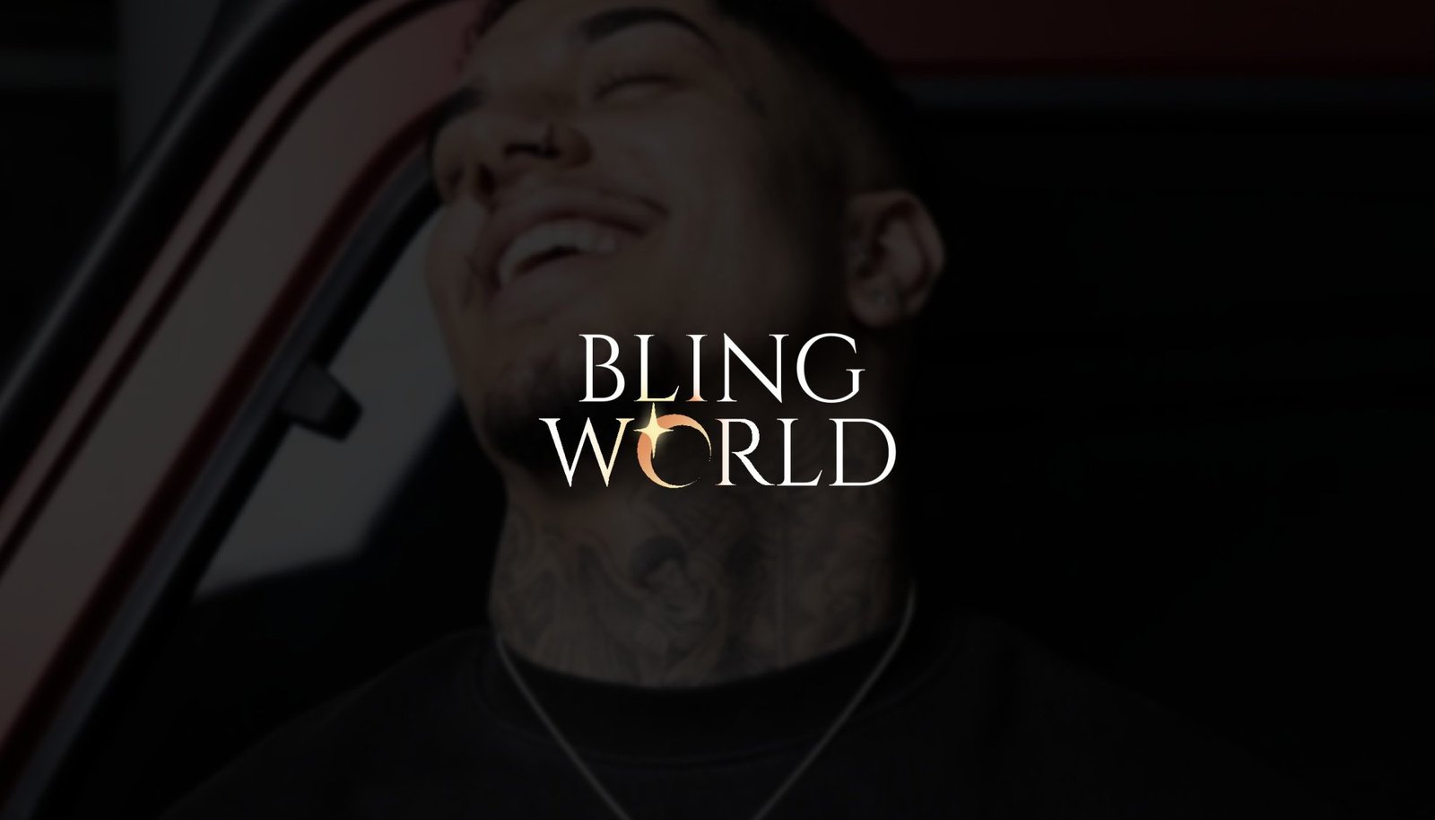 Imagem 5 do projeto Identidade Visual Bling World