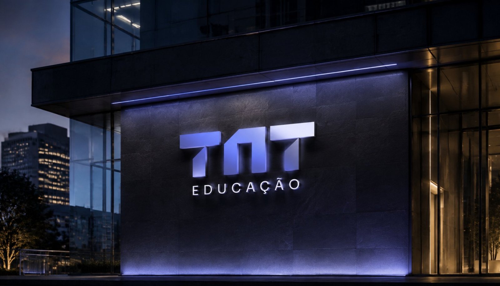 Imagem 14 do projeto Identidade Visual TNT Marketing Digital