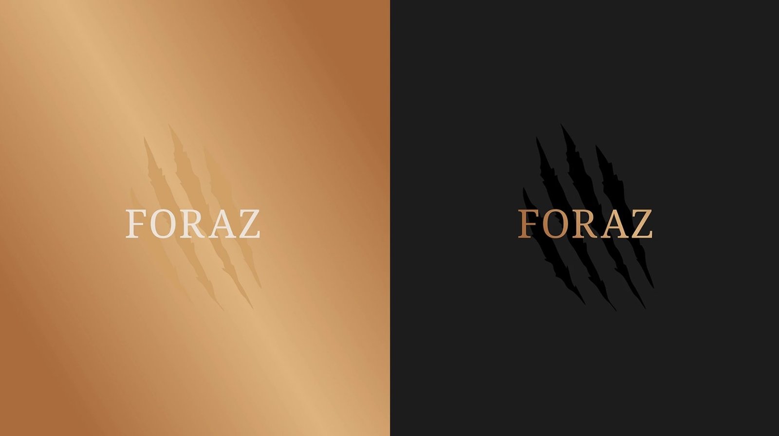 Imagem 11 do projeto Identidade Visual FORAZ